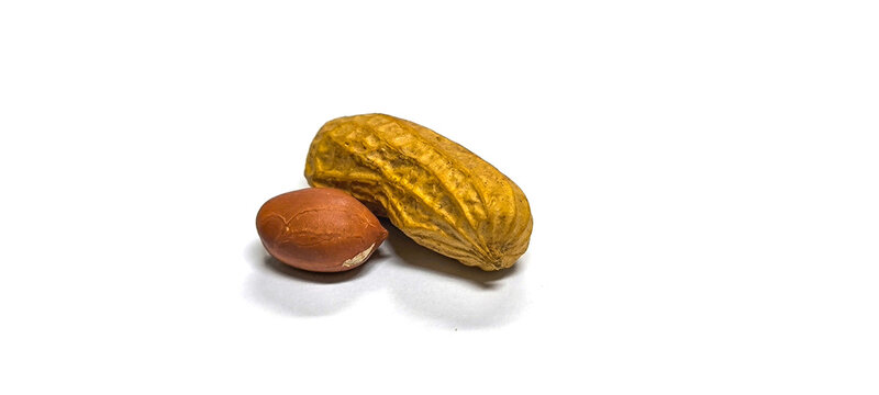 A peanut with its shell partially removed. revealing two brown seeds inside.