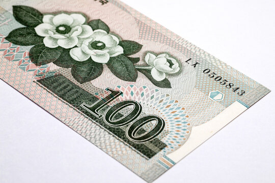 North Korean 100 won banknote featuring magnolia flowers. Siebold's magnolia. North Korean money.