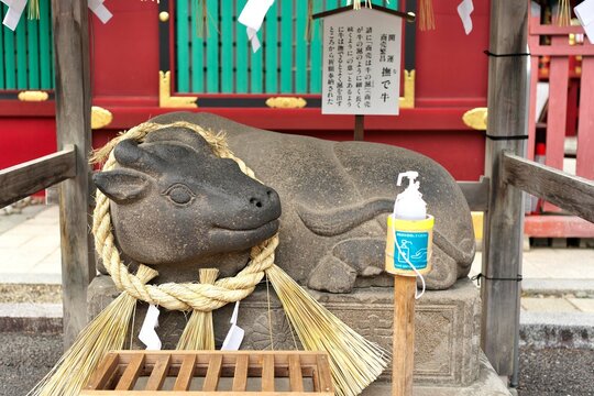 Stone cow statue with rope at Shio竈 Shrine Miyagi Japan