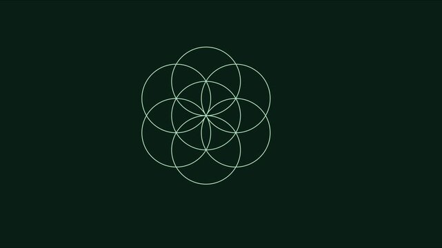 Minimalist seed of life sacred geometry animation on dark green 4k background, flower of life spiritual