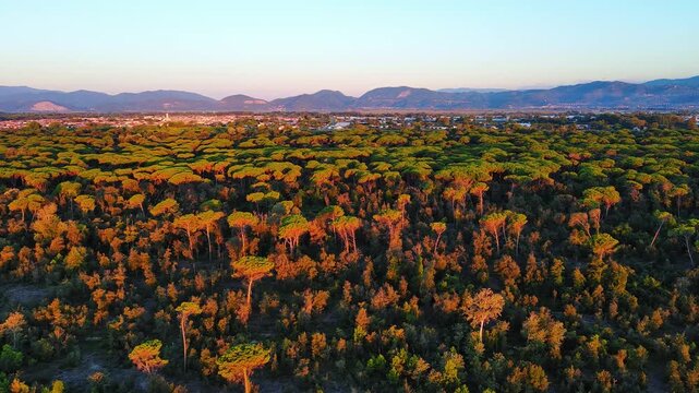 Drone Flight Over Green Forest at Golden Hour Near Mountainous Town