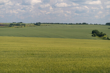 Fototapeta premium Vibrant green fields stretch across the horizon under a vast sky showcasing nature's beauty in a peaceful rural setting
