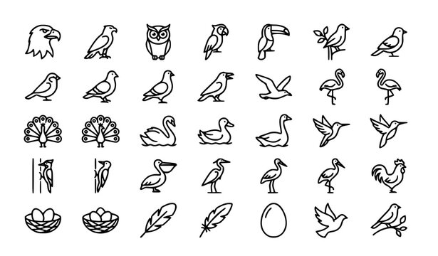 Wild bird and nature editable line icon collection featuring eagle owl parrot flamingo peacock swan hummingbird feathers nests wildlife and flight