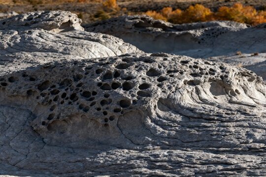 Eroded rock formation with honeycomb patterns in a desert landscape