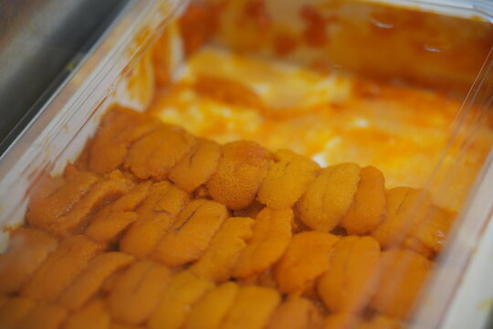 A close up view of fresh sea urchin in a box.