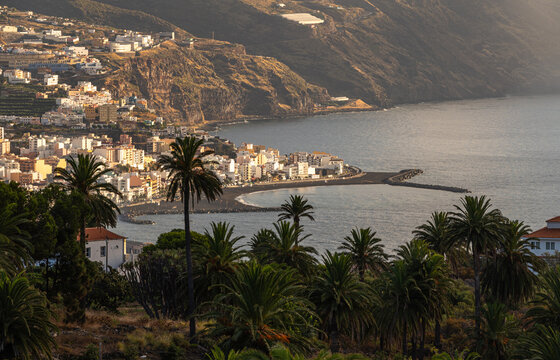 Palmeral en primer plano con la playa de arena negra y la capital, Santa Cruz de La Palma, al fondo bajo la c&aacute;lida luz del amanecer.