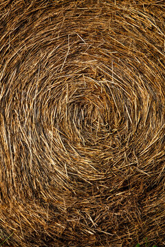 Round hay bale fills the frame with an intricate spiral of golden straw, creating a striking natural pattern and richly textured abstract background with warm earthy tones.