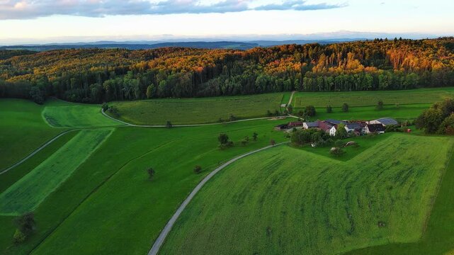 Golden Hour Aerial View of Lush Green Countryside and Farmland