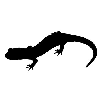 Black silhouette of a small salamander or newt crawling in profile isolated on a white background, for use