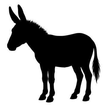 Black silhouette of a standing donkey isolated on a white background, side profile view of a farm animal with long ears and a short tail