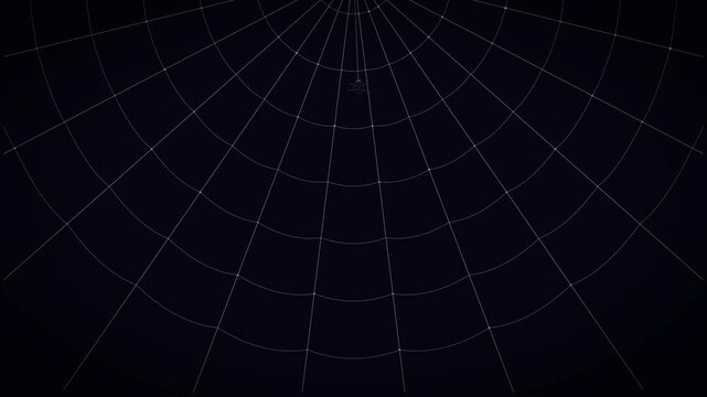 Seamless loop animation of a spider descending on a web from the top center. Halloween background with a cute spider crawling down a web