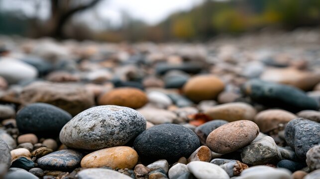 Smooth river stones in earthy tones rest on a shallow bed  softly blurred background hints at autumnal trees and open sky