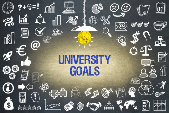 University Goals	
