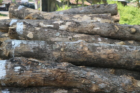Stacked raw wooden timber logs stored in an outdoor lumber yard.