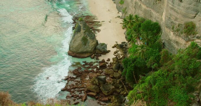 Sandy shore with palm trees and limestone cliffs at Diamond Beach Nusa Penida Indonesia