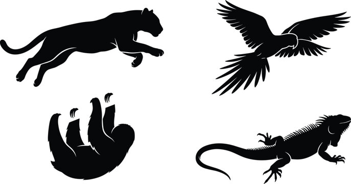 Tropical rainforest wildlife vector silhouette set featuring leaping panther, flying macaw parrot, hanging sloth, and iguana.