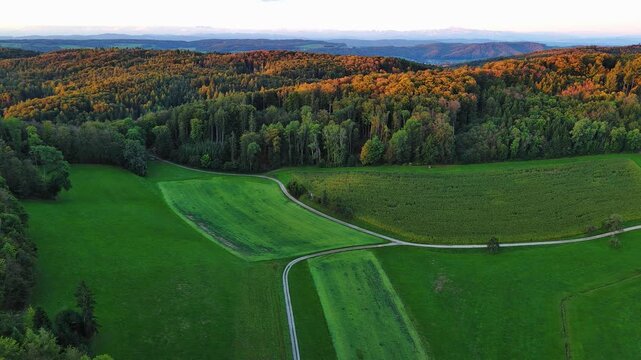 Beautiful Sunset Over Lush Green Fields and Dense Forest Hills
