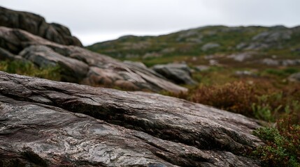 Fototapeta premium Close up of textured rock formations in a rugged mossy landscape under an overcast sky with distant rolling hills