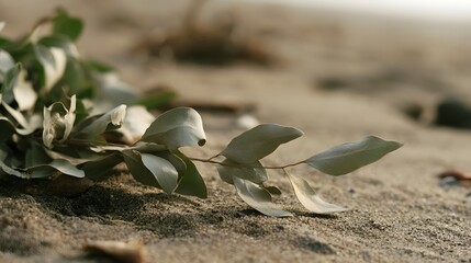 Fototapeta premium Dry eucalyptus leaves rest on textured sand under soft natural light creating a calm and earthy natural scene