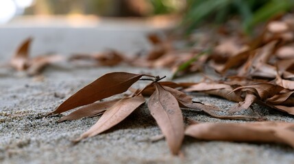 Fototapeta premium Dry brown leaves rest on textured sand with soft natural lighting and shallow depth of field
