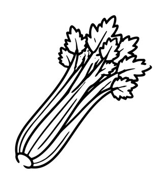 Hand-drawn vector icon of a fresh celery stalk with lush leaves, perfect for healthy food illustrations, organic vegetable designs, culinary graphics, and garden-themed artistic projects. High