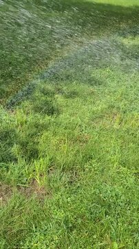 Automatic Lawn Sprinkler Spraying Water with Rainbow Over Green Grass Lawn