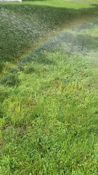 Automatic Lawn Sprinkler Spraying Water with Rainbow Over Green Grass Lawn