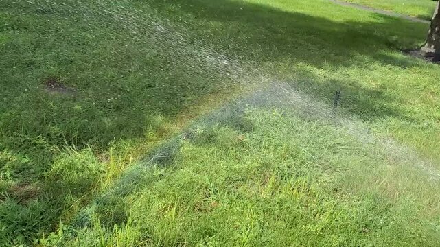 Automatic Lawn Sprinkler Spraying Water with Rainbow Over Green Grass Lawn