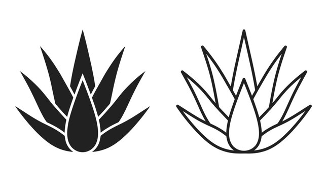 Set of two minimalist agave plant icons in black and white style.