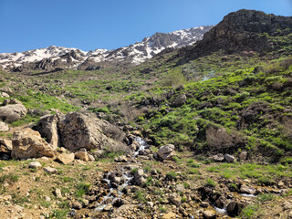 Sun-drenched green hillside rises toward snow-capped peaks, thin smoke drifting skyward beside a flowing stream under a brilliant blue spring sky. 📍GHallakhane, Daraki, Kurdistan  © Hawraman83