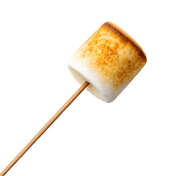 Toasted marshmallow on a wooden stick illustration