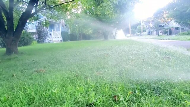 Automatic Lawn Sprinkler Spraying Water on Green Grass Lawn and Garden Tree