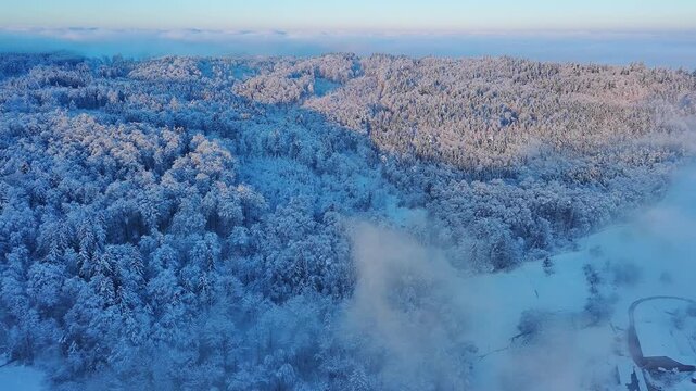Drone View Over Serene Snowy Forest and Misty Valley in Winter