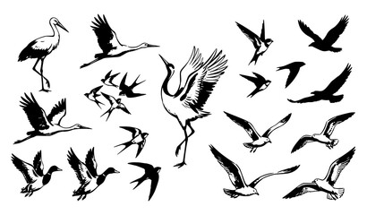 Fototapeta premium Flying Birds Silhouette and Brush Stroke Vector Icon Set Featuring Cranes, Herons, Seagulls, Ducks, Swallows, and Wild Avians in Migratory Flight Designs