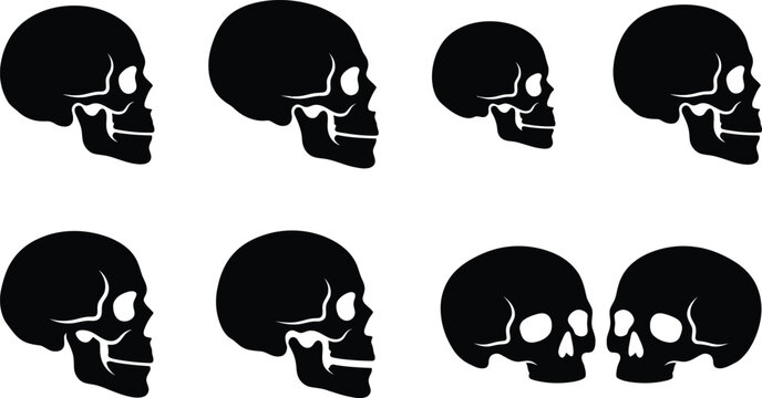 Vector set of human skull silhouettes showing profile and side views in black and white