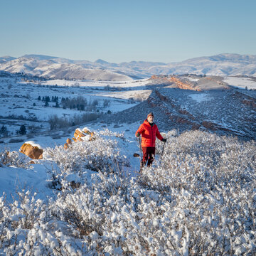 senior hiker in winter scenery of Rocky Mountains foothills in northern Colorado, Lory State Park