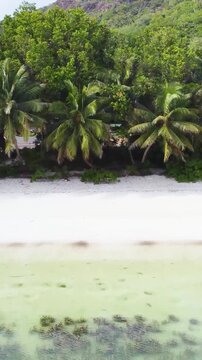 Vertical aerial pull back view revealing Anse Madge beach in Seychelles with turquoise water, white sand, palm trees and lush tropical coastline.