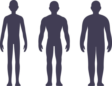 Men body types diagram with three somatotypes: Ectomorph (tall and skinny), Mesomorph (muscular) and Endomorph (fat and muscle). Vector silhouettes.