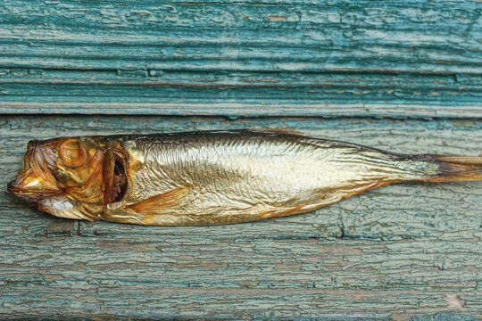 one small smoked brown sea fish sprat lies on a green table
