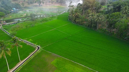 Fototapete Grün  Aerial view of lush green rice fields surrounded by trees in Malang, East Java, Indonesia.  © gunungkawi