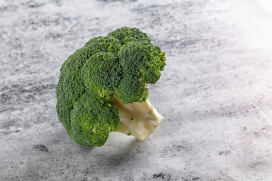 Fresh green broccoli head on textured gray surface