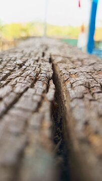 Blurry aged natural wood with grain patterns, cracks, knots, and weathered surface