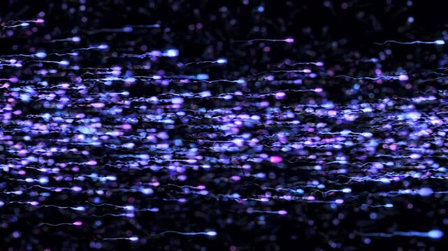 Abstract animation of glowing purple and blue particles flowing horizontally on a dark background. Ideal for technology, science, and futuristic themes.