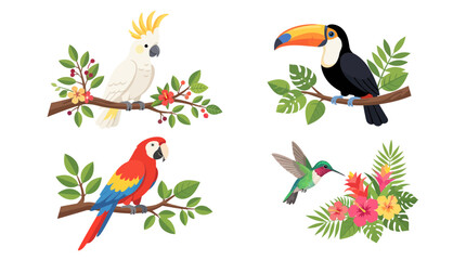Naklejka premium Flat vector illustration set of exotic tropical birds including cockatoo, toucan, parrot, and hummingbird with flowers and leaves