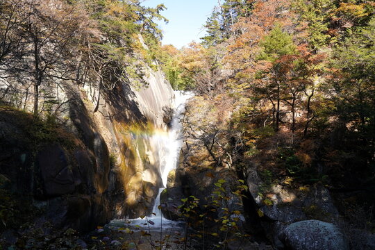 山梨県昇仙峡の仙娥滝。秋の紅葉に囲まれた険しい岩壁を流れ落ちる滝と、水しぶきによって現れた美しい虹が幻想的な風景を創り出している。