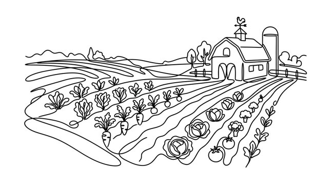 Continuous Line Drawing of Rural Farm Landscape with Organic Vegetable Garden and Barn