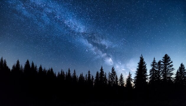 starry night sky over pine forest silhouette