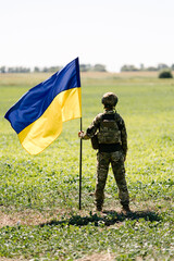 Naklejka premium Ukrainian soldier holding flag standing in green field