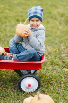 Autumn harvest organic pumpkins and apples. Happy boy on pumpkin patch on cold autumn day, with lot of pumpkins for Halloween or thanksgiving Children on pumpkin field.