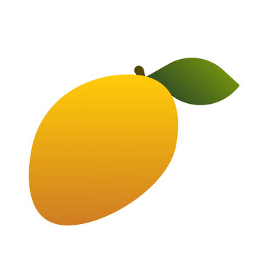 illustration of a mango on white background